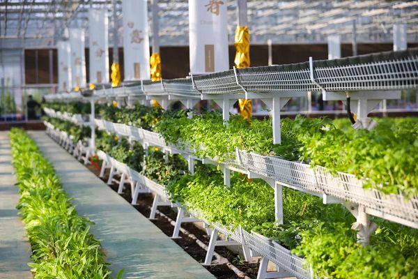 人行济南分行30条金融措施助力乡村振兴