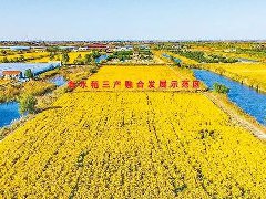 李干杰：奋力开创新发展阶段“三农”工作新局