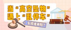 “高空坠物”砸损“违停车”，车损怎么赔？